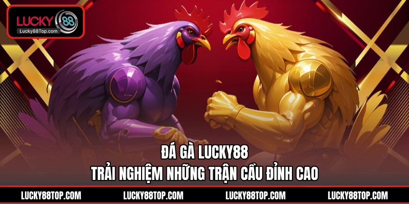 Đá Gà Lucky88 | Trực Tiếp 100+ Trận Đỉnh Cao Hằng Ngày - BETVANTA99.BUZZ